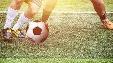 DG真人官方平台 产品 121804 hxr