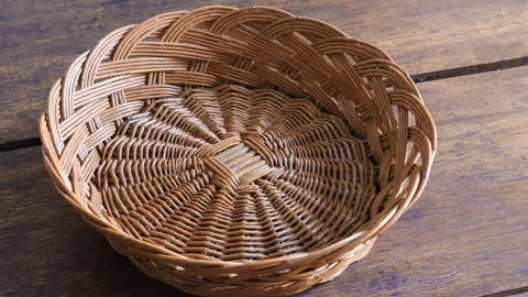 DG真人官方平台 资讯 101525 iq1